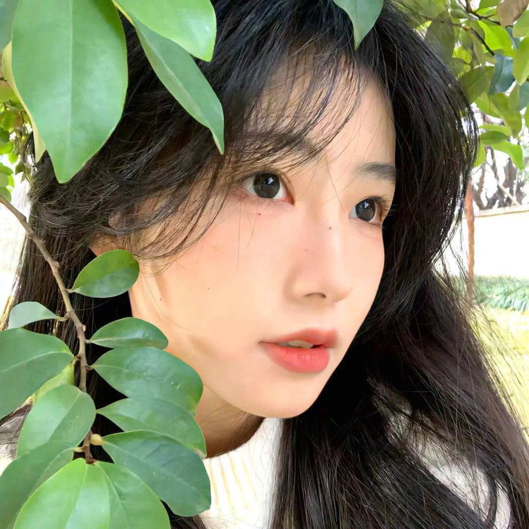 无烟煤