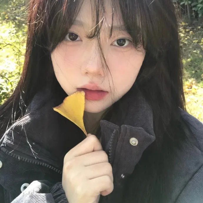 小小间谍:博客战争