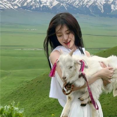 黑鸽第一季